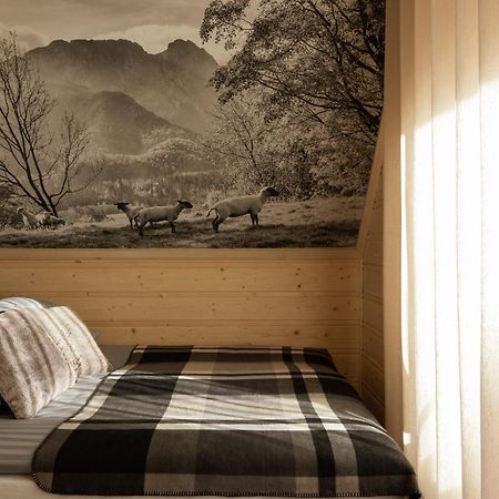Tatra Chalet Krupowki 77A 扎科帕内 外观 照片