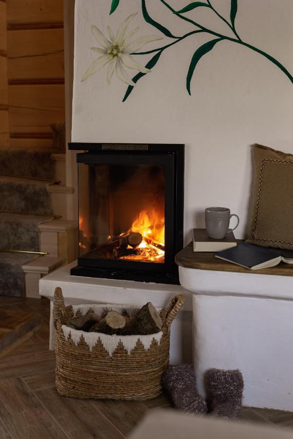 Tatra Chalet Krupowki 77A 扎科帕内 外观 照片